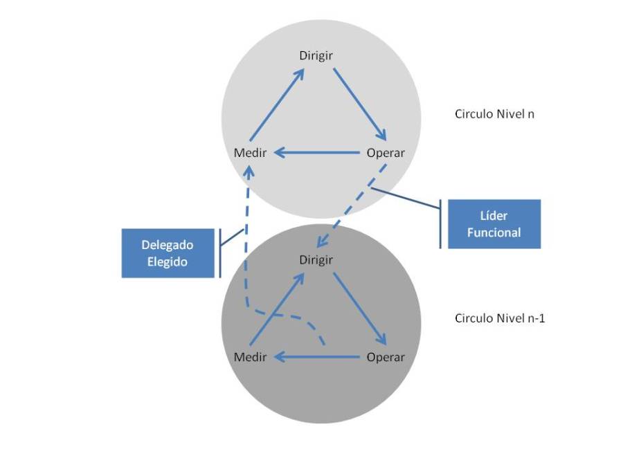 Circulos Organizacionales