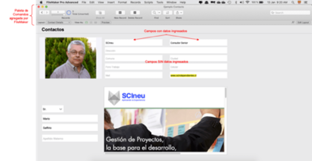 A screenshot of a social media post

Description automatically generated
